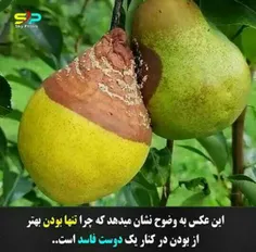 #دقیقااااا