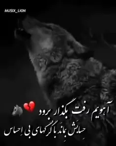 هه(:💔