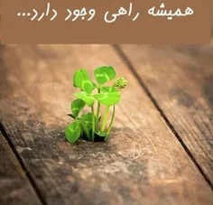 امیدوار باش...