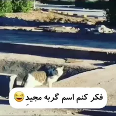 مجید ها دستا بالا⁦😂😂