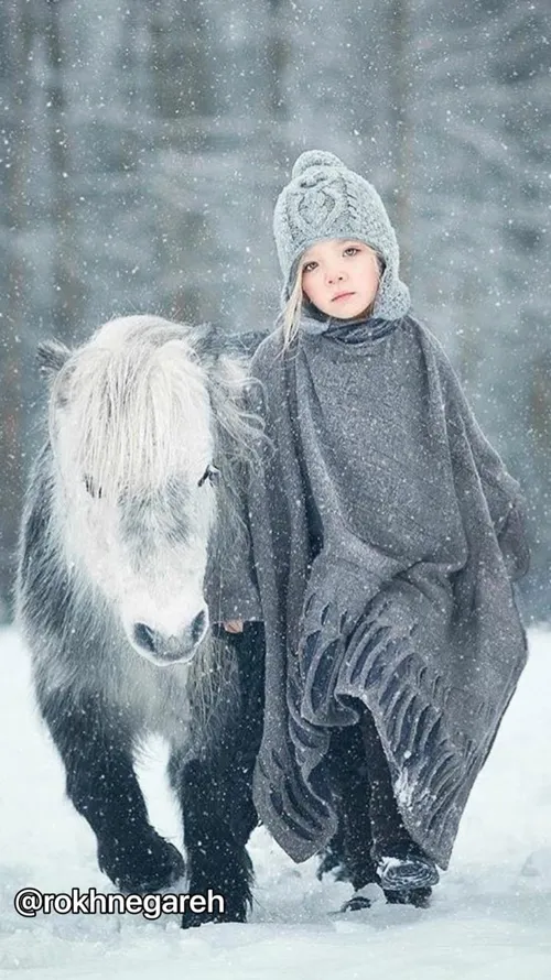 دخترونه برف زیبا اسب خاکستری