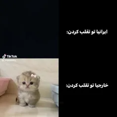 ها ها ها ها ها