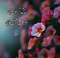 #جذاب #عکس_نوشته