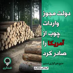 ✅ دولت مجوز واردات چوب را از آمریکا صادر کرد‼ ️