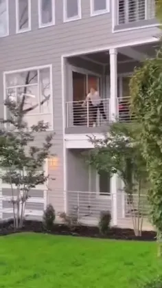 *این🐕🦮🐕‍🦺 موجودات فضول و دوست داشتنی😅😅😆*