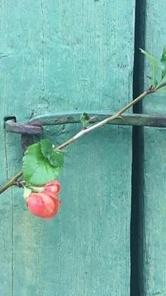 به کانال تلگرام دیجی میهن ملحق شوید