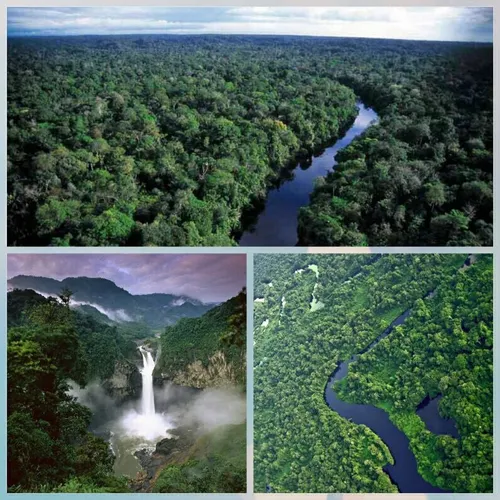جنگل آمازون یکی از مخوفترین، پهناورترین وزیباترین مکانهای