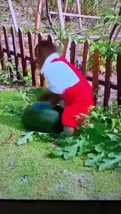 (◉‿◉)