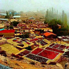 جشن زغال اخته٬ روستای هیر، استان قزوین