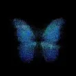 blue_buterfly