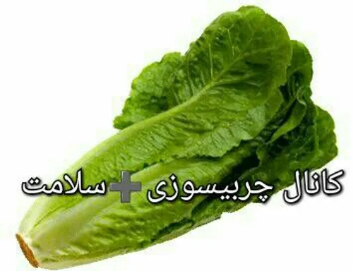 کاهو