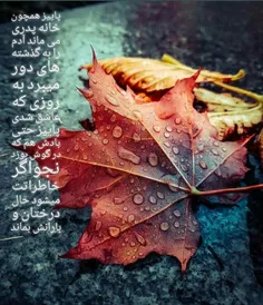 پاییز🍁 🍁