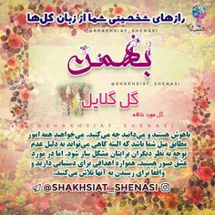 عکس نوشته javad 21972319