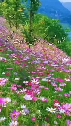 ز کوی یار میآید نسیم باد نوروزی