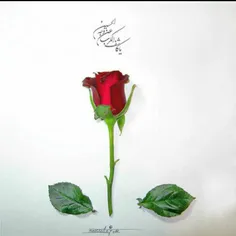 "سه تا ضریح" جدا