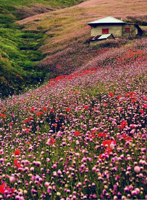 تصویری زیبا از منطقه بکر کوهستانی خلخال استان اردبیل
