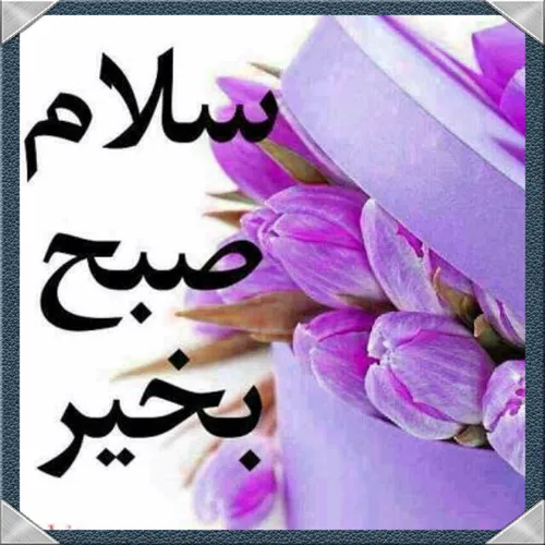 عکس نوشته