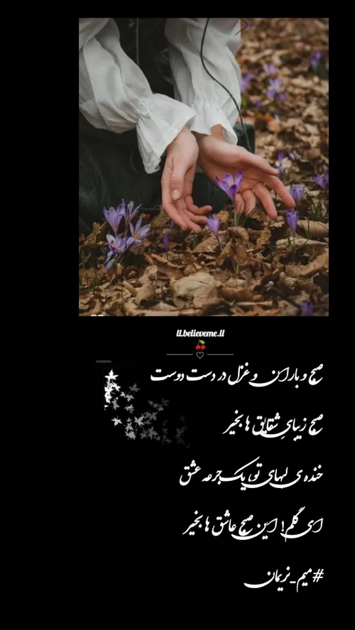 🌱🍒صبح و باران و غزل در دست دوست