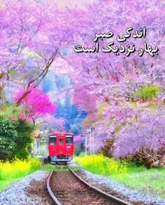 ✨ 🌸 ✨    صبور باشیم  ✨ 🌸 ✨ 