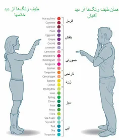 تفاوت تشخیص رنگ‌ها در خانم‌ها و آقایان 😉