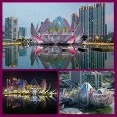 طراحی بنایی زیبا به شکل گل نیلوفر در چین برای نخستین بار 