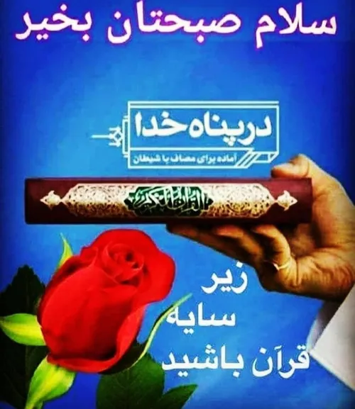 🌸اللّهُمَّ نَوِّر قُلُوبَنا بِالْقُرآن🌸