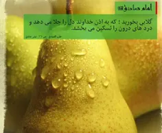 امام صادق علیه السلام فرمودند گلابی بخورید که به اذن خداو