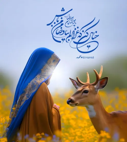 امان رضا جان🌹♥️