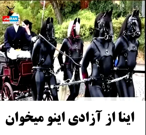 💥و ایران خوکدونی نخواهد شد ...