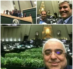 سلفی نمایندگان مجلس از امنیت داخل صحن مجلس
