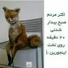 reza3427890 72596481