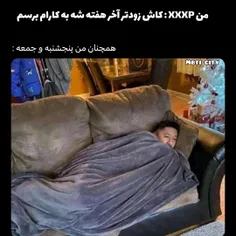 تصویر گویا می باشد: