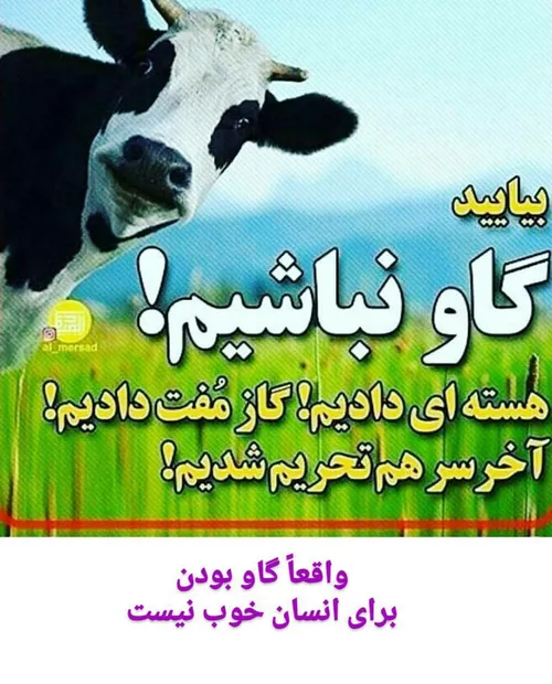 گاو نباشیم