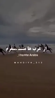 از عرب‌ها متنفرم