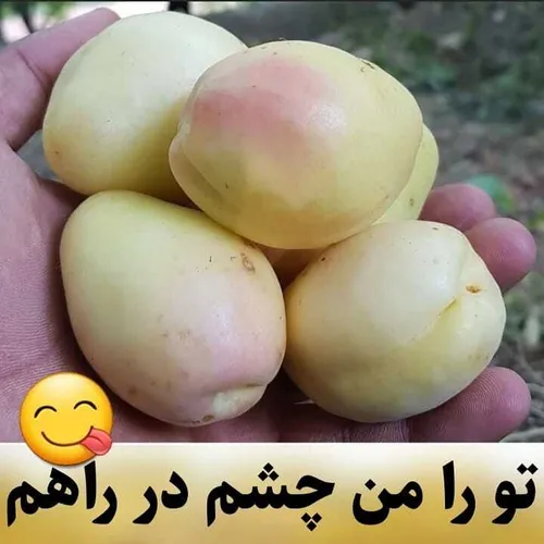 اومده یا نه؟!میگن بعضی جاها اومده 😅