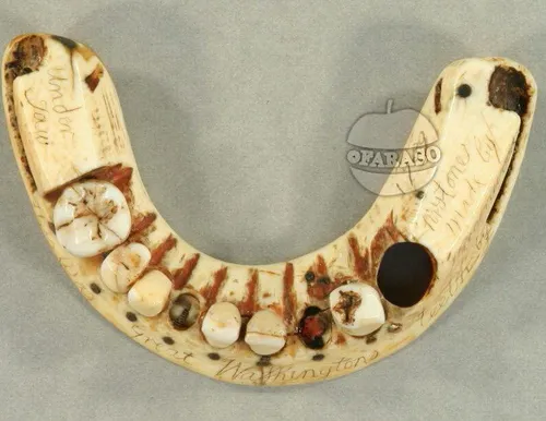 اولین دندان مصنوعی از جنس چوب.