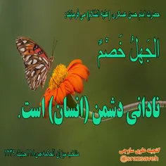 #حضرت_امام_حسن_عسکری_ع می فرمایند: