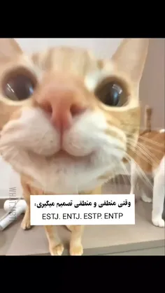 خودم ISTJ🤣