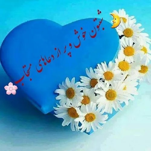 نیایش شبانه با حضـــــرت عشق ❤️