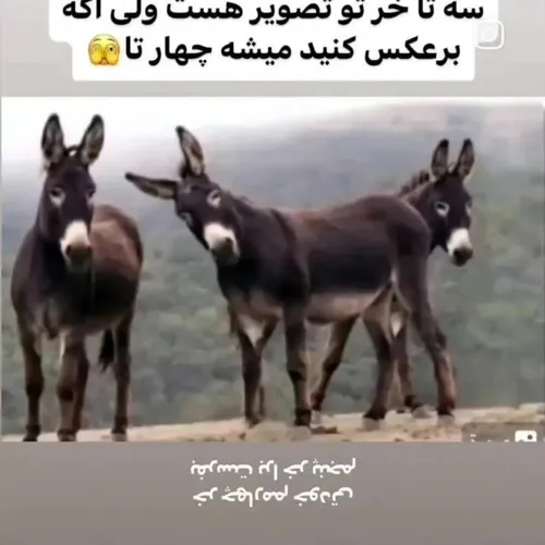 اصن ی وضی شده😑