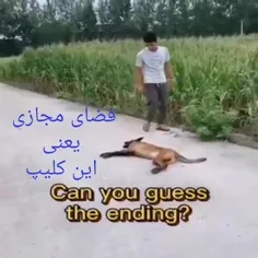 فضای مجازی یعنی این 😁😃😀😅😂🤣