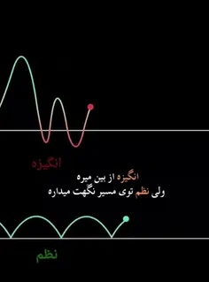 نظم مهم ترین #کلید موفقیت است زیرا...‌👈