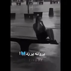 پروانه پر زد از پیله رف:( 