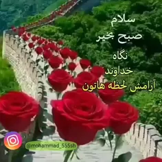 🌸🍃‍ زندگی یعنی یاد خدا