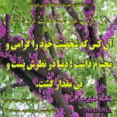 #زین_العابدین #حضرت_امام_سجاد_ع می فرمایند: