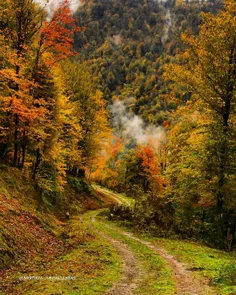 اینجا جنگل های سوییس نیست اینجا ایران، گیلان، املشِ 😍 اول