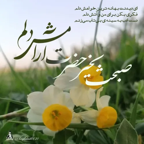 صلی الله علیک یا صاحب الزمان