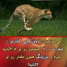 #دانستنیها#دانستنی #دانستنیهای_جهان #دانستنیهای_جالب #دان