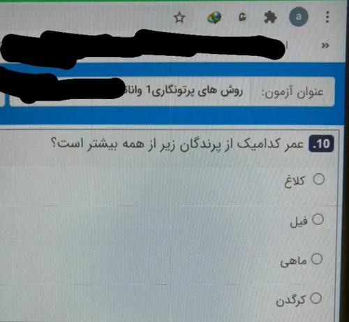 امتحانات مجازی دارن به شعور دانشجو توهین میکنن :|