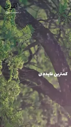 با سلام